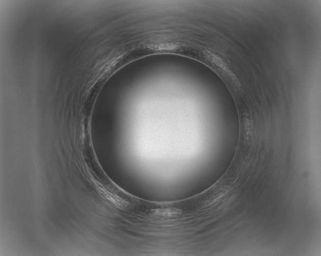 X0000052630541200507081942