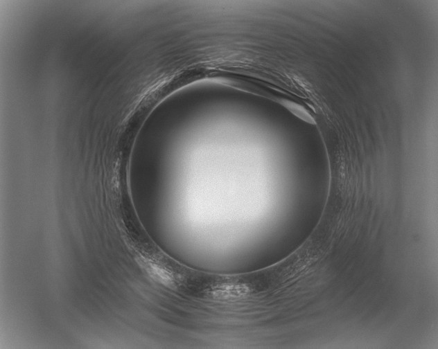 X0000052630543200507081942