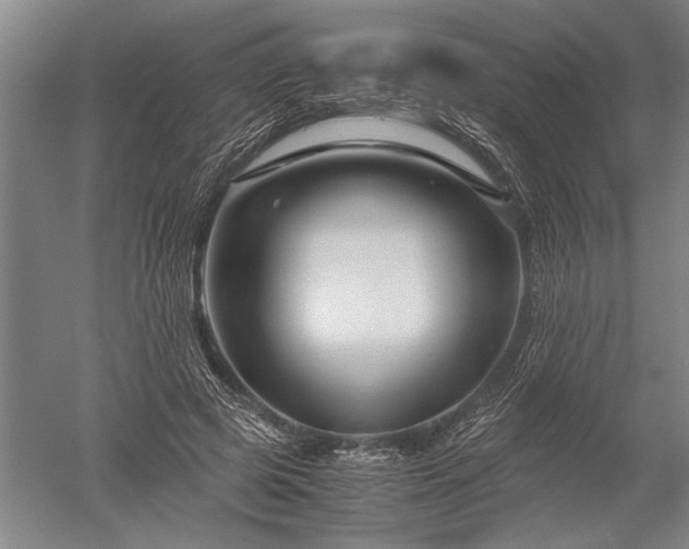X0000052630545200507081942