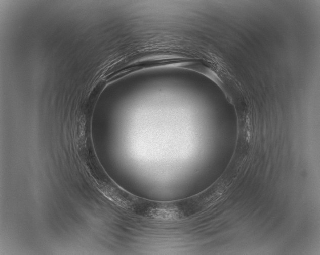 X0000052630548200507081942