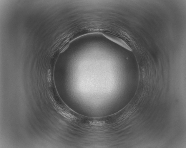X0000052630549200507081942