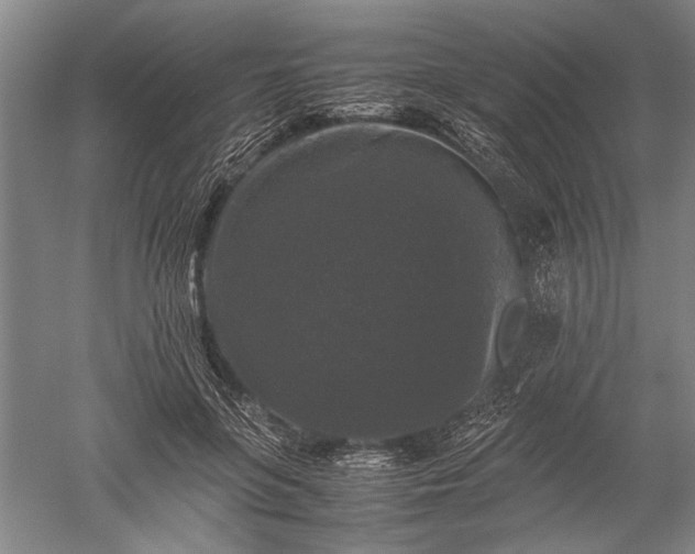 X0000052630551200507081942