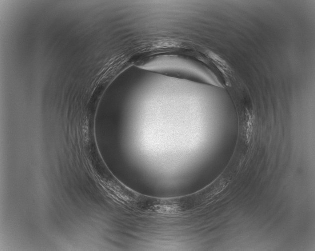 X0000052630552200507081942