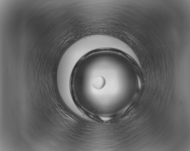 X0000052630558200507081942