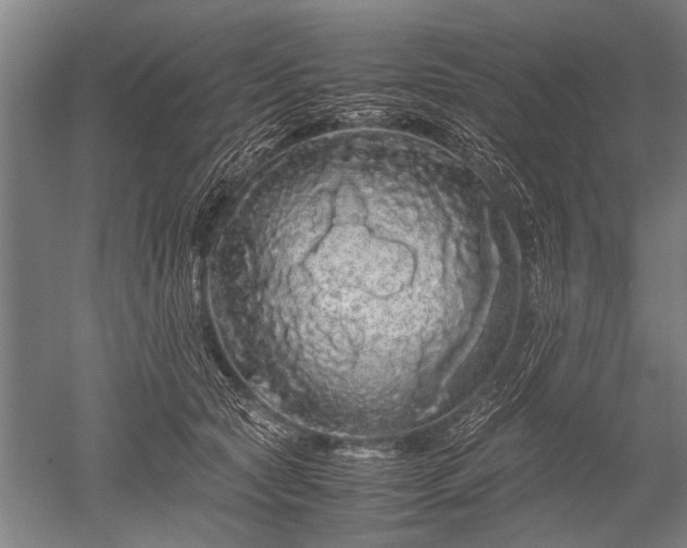 X0000052630561200507081942