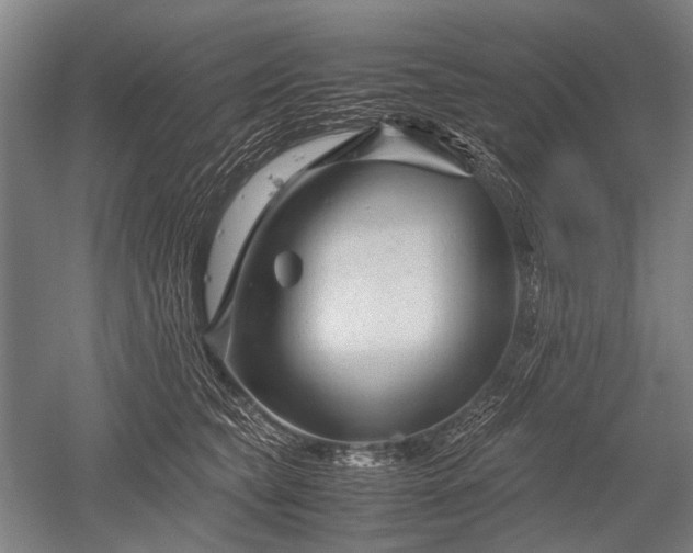X0000052630565200507081942