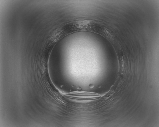 X0000052630566200507081942