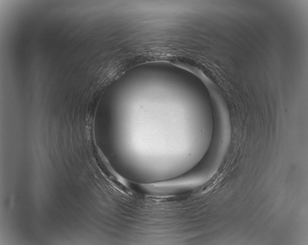 X0000052630576200507081942