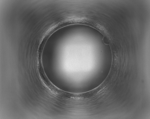 X0000052630582200507081942