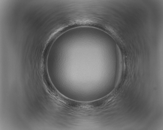 X0000052630583200507081942