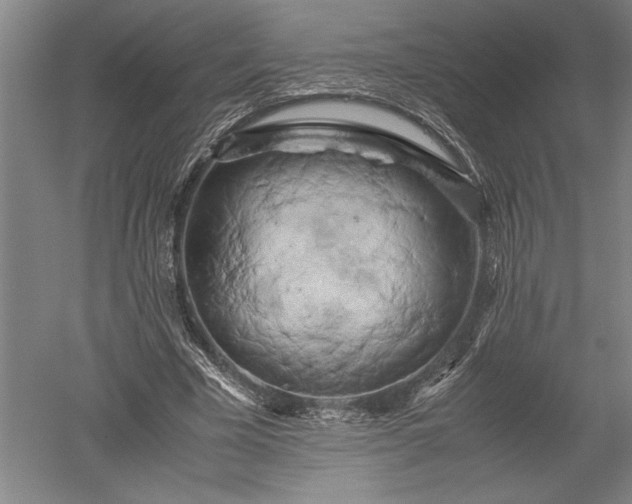X0000052630585200507081941