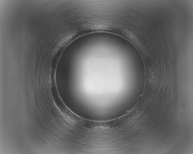 X0000052630586200507081941