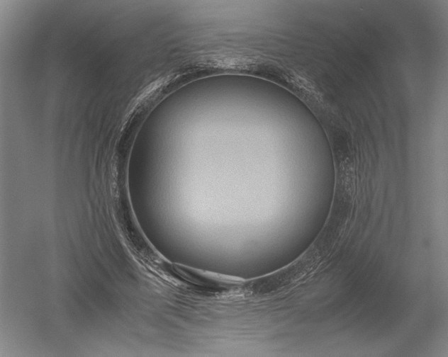 X0000052630587200507081941