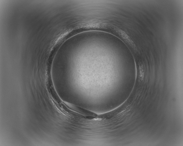 X0000052630588200507081941