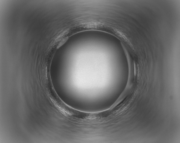 X0000052630589200507081941