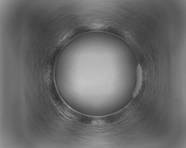 X0000052630591200507081941