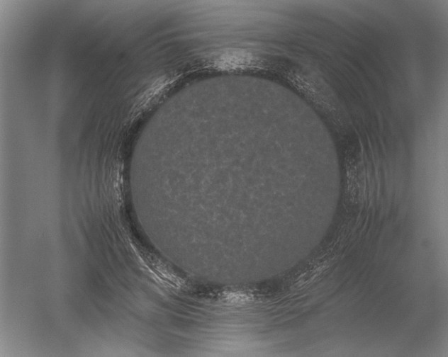 X0000052630592200507081941