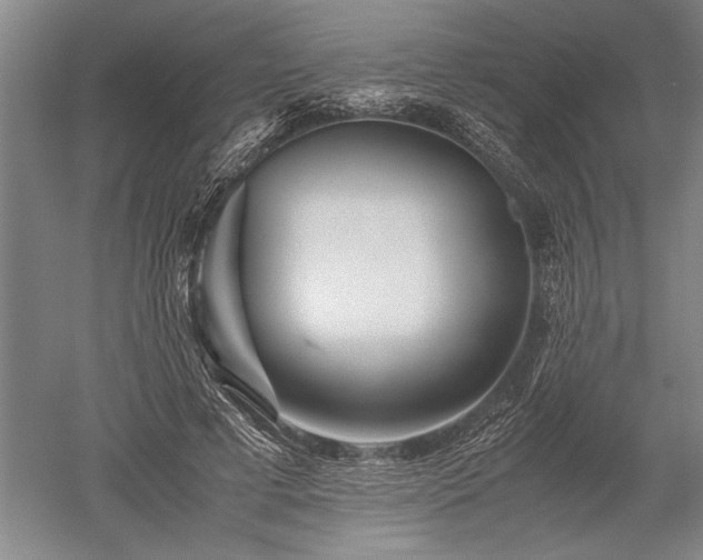 X0000052630593200507081941
