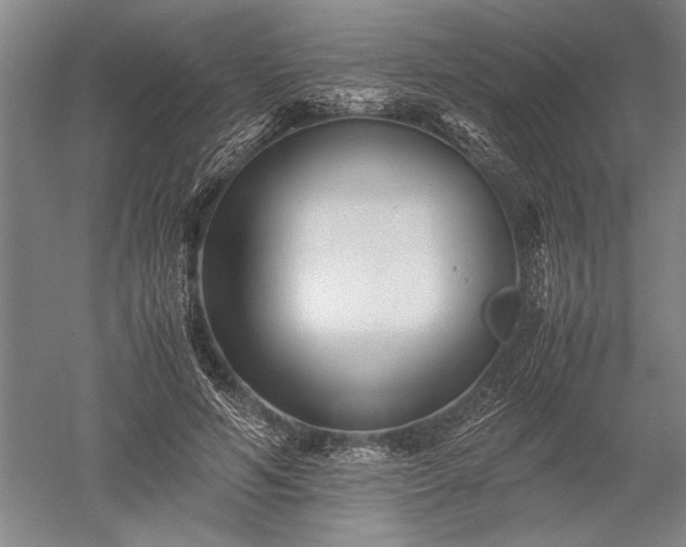 X0000052630594200507081941