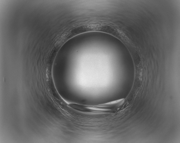 X0000052630597200507081941