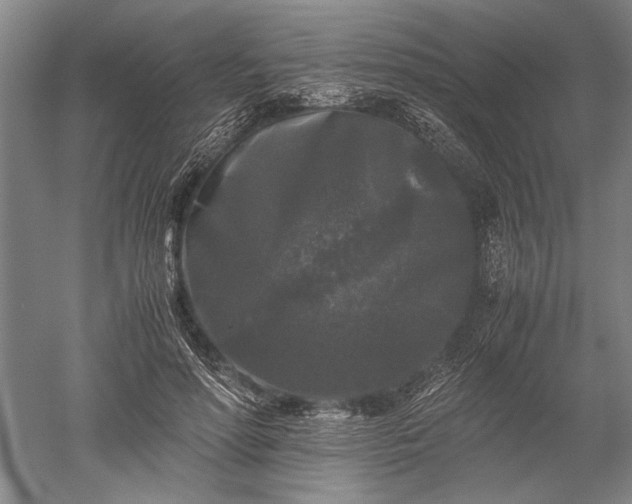 X0000052630598200507081941