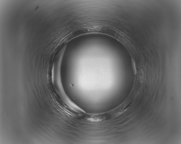 X0000052630604200507081941
