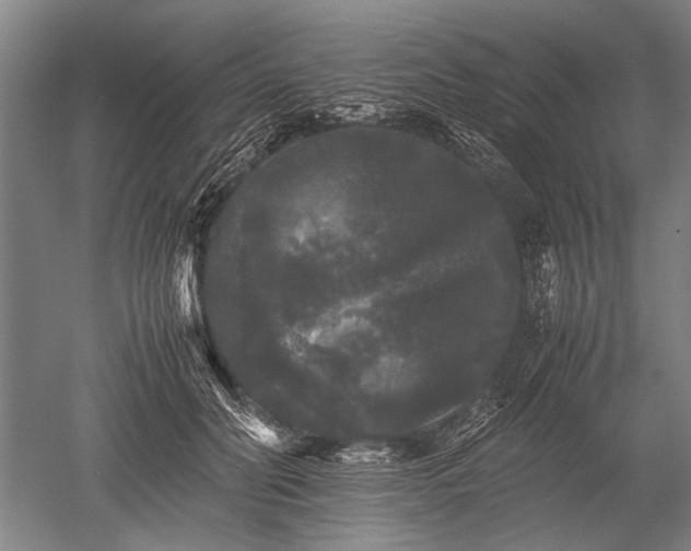 X0000052630606200507081941
