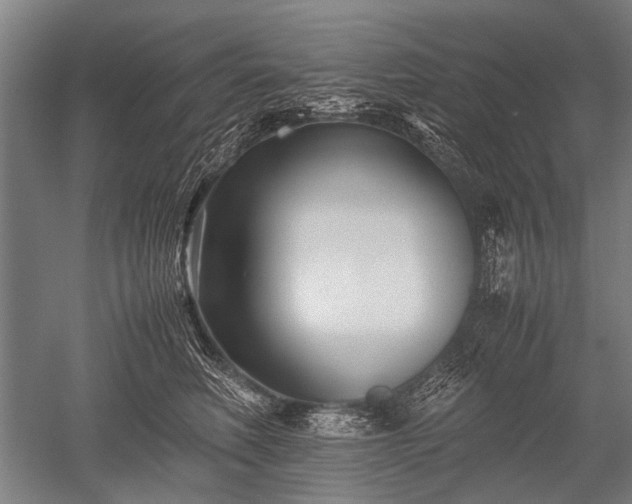 X0000052630614200507081941