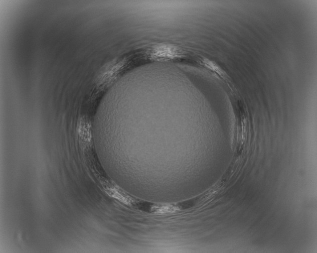X0000052630621200507081941