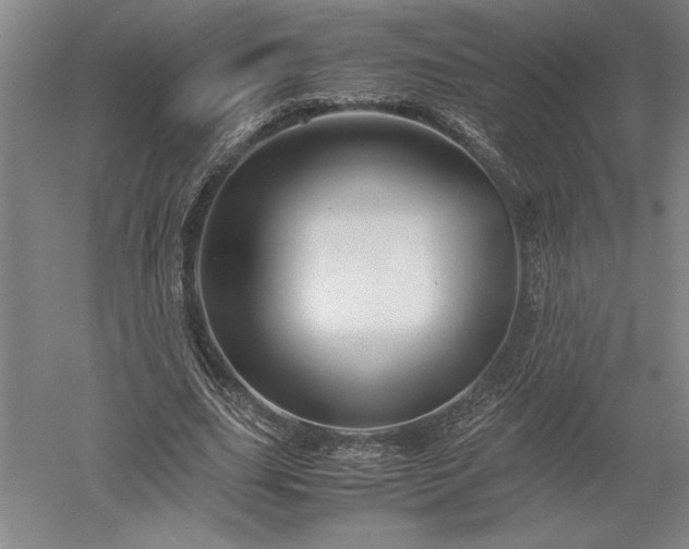 X0000052630631200507081940