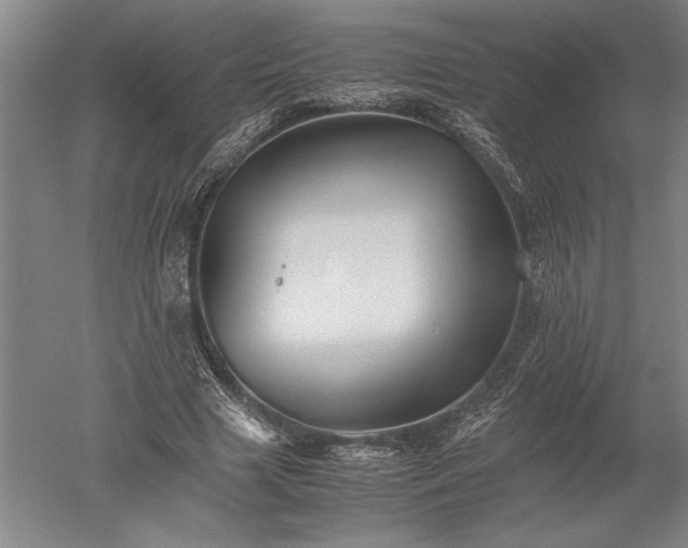 X0000052630633200507081940