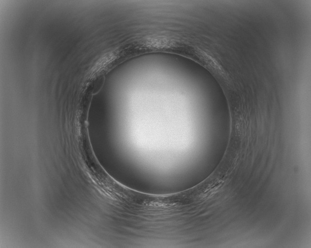 X0000052630635200507081940