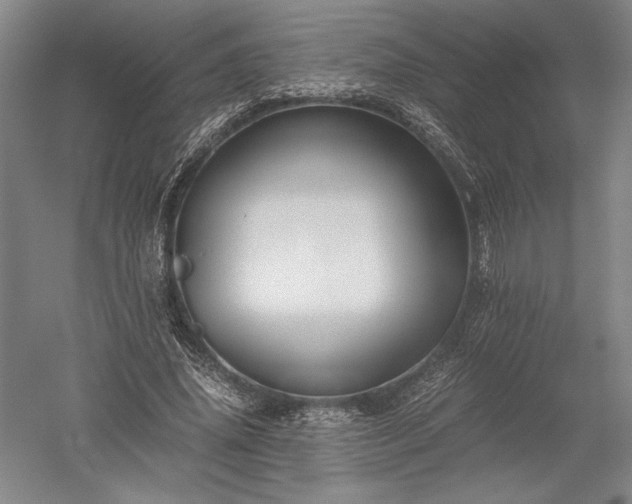 X0000052630636200507081940