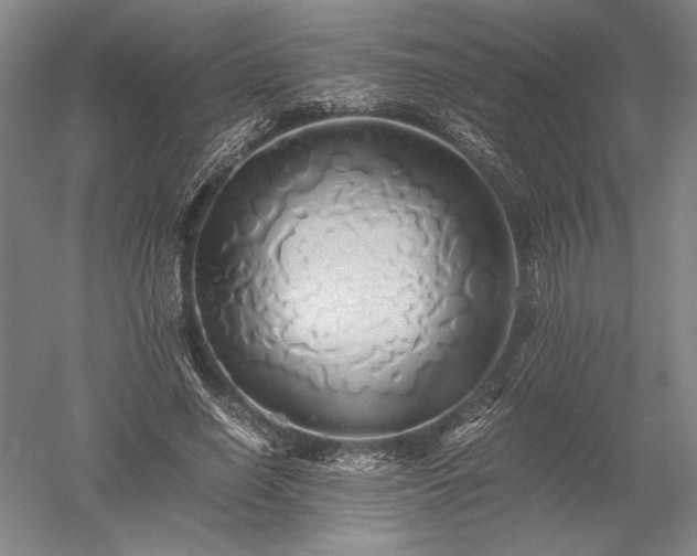 X0000052630638200507081940
