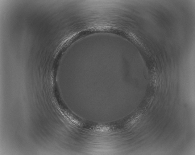 X0000052630640200507081940