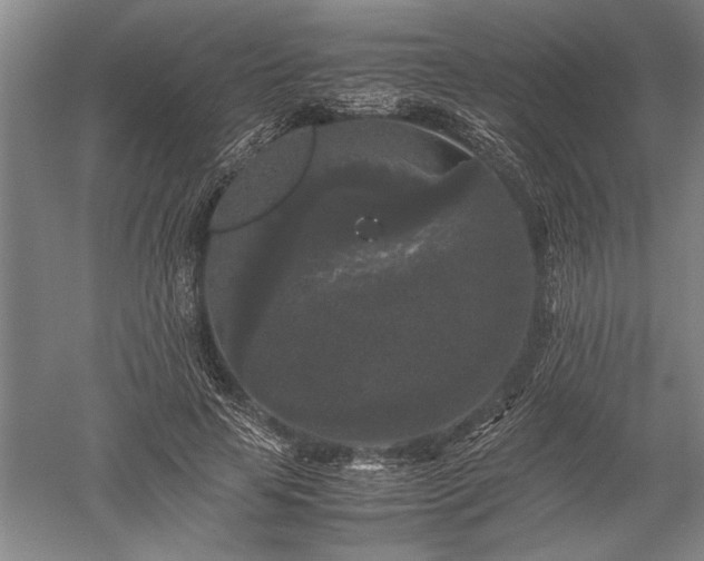 X0000052630641200507081940