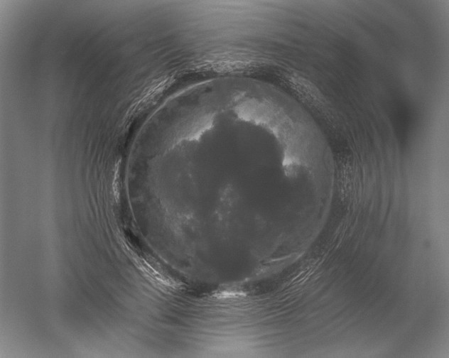 X0000052630644200507081940