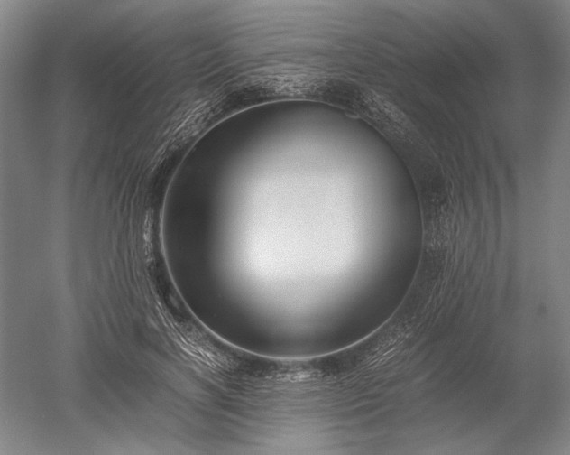 X0000052630646200507081940
