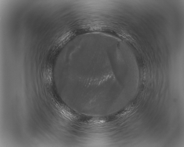 X0000052630648200507081940