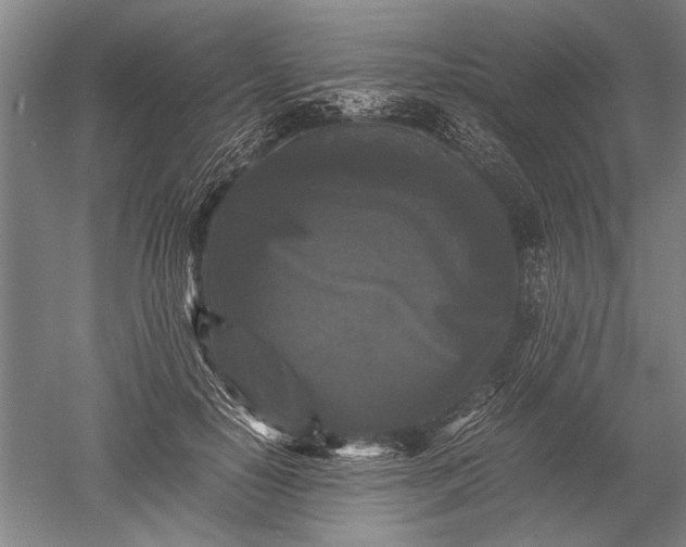 X0000052630650200507081940