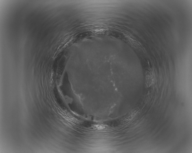 X0000052630654200507081941