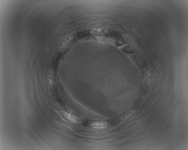 X0000052630659200507081941