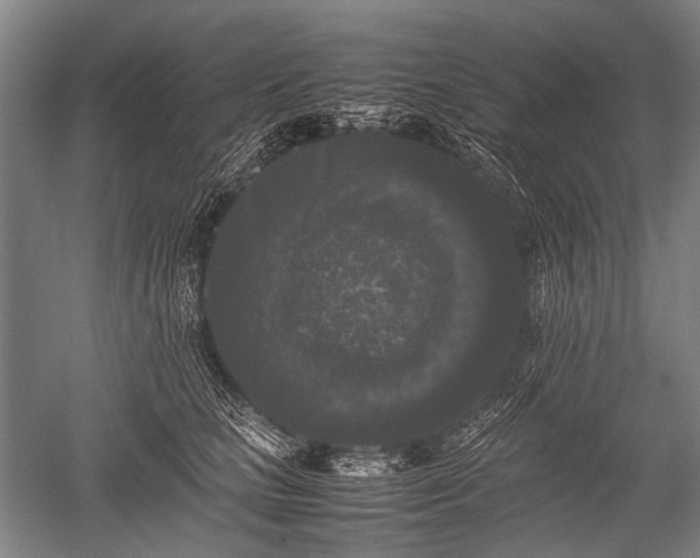 X0000052630661200507081941