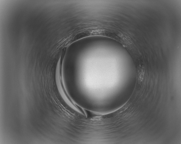 X0000052630666200507081941