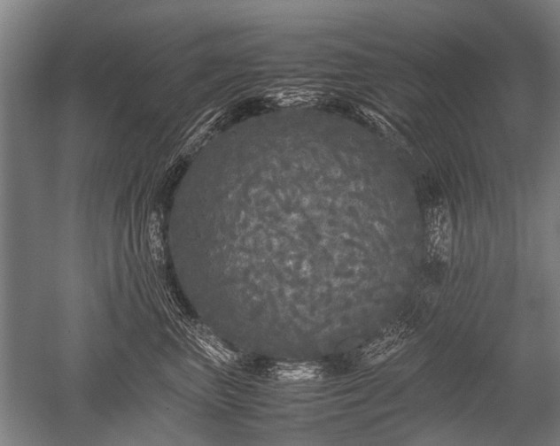 X0000052630667200507081941