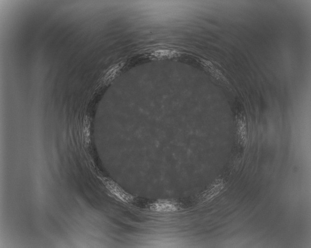X0000052630668200507081941