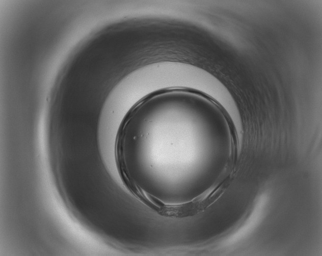X0000052630671200507081941
