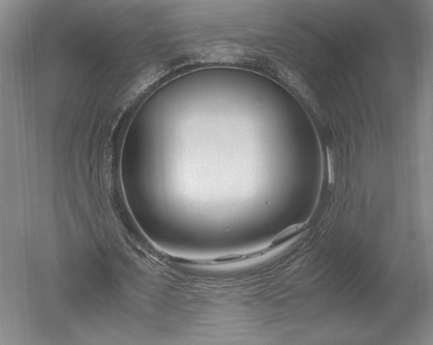 X0000052630675200507081940