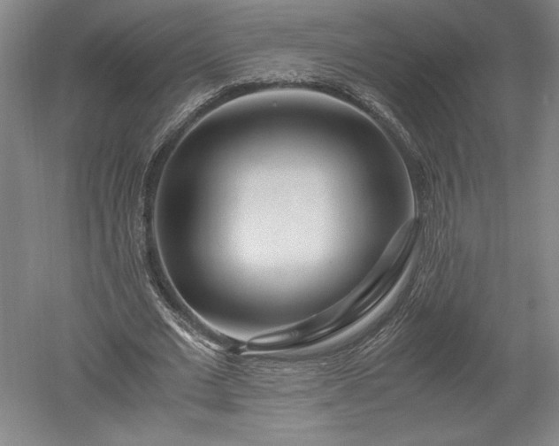 X0000052630677200507081940