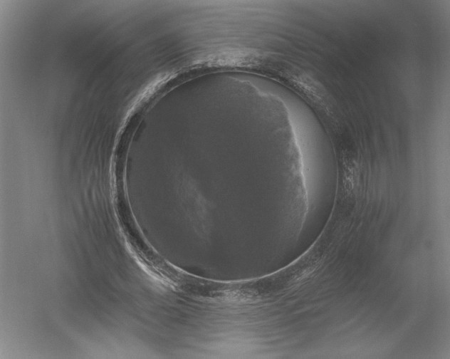 X0000052630678200507081940